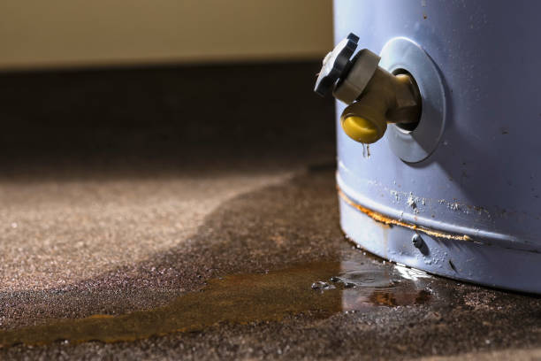 Best Water damage cleanup near me  in Sneedville, TN