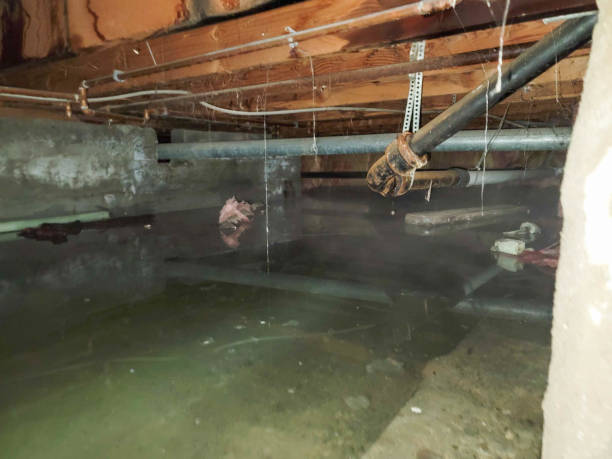 Best Flooded house restoration  in Sneedville, TN