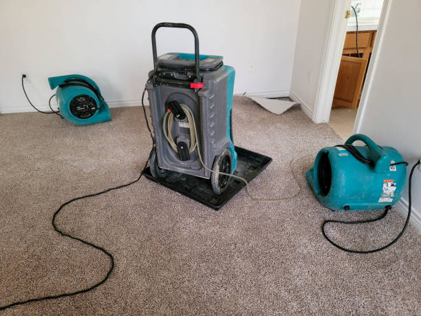 Best Commercial water damage restoration  in Sneedville, TN