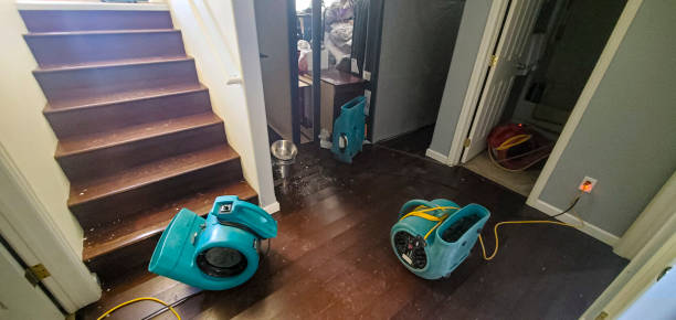  Sneedville, TN Water damage restoration Pros