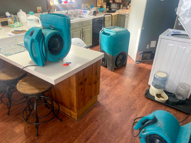 Best Carpet water damage restoration  in Sneedville, TN