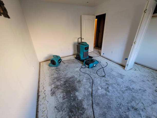 Best Water damage restoration mold remediation  in Sneedville, TN