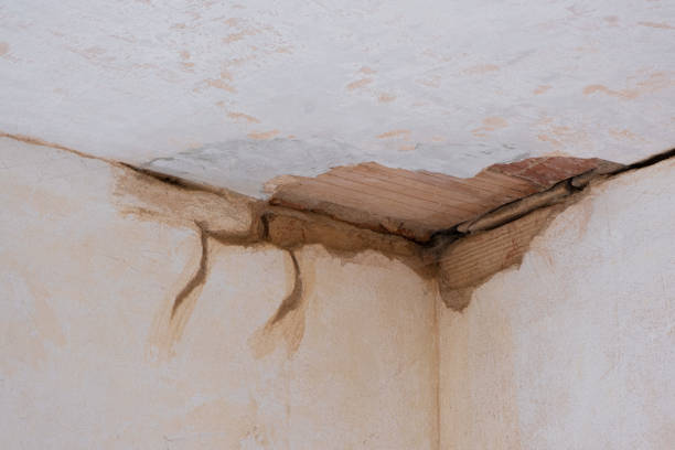 Best Flood restoration services  in Sneedville, TN