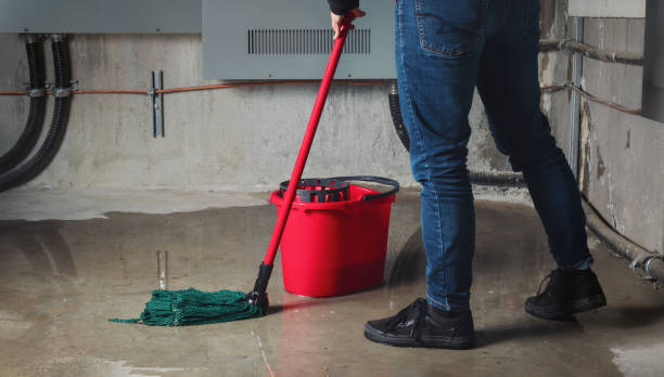 Best Water damage contractors near me  in Sneedville, TN