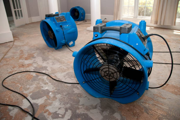 Best 24-hour water damage restoration  in Sneedville, TN