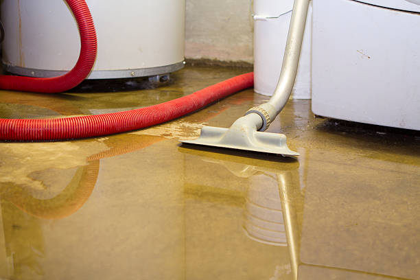 Best Water damage restoration near me  in Sneedville, TN