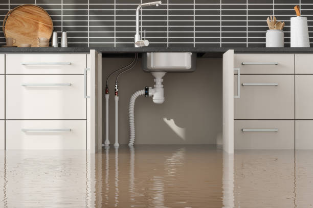 Best Flood damage cleanup  in Sneedville, TN